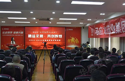 马应龙药业精细化管理项目